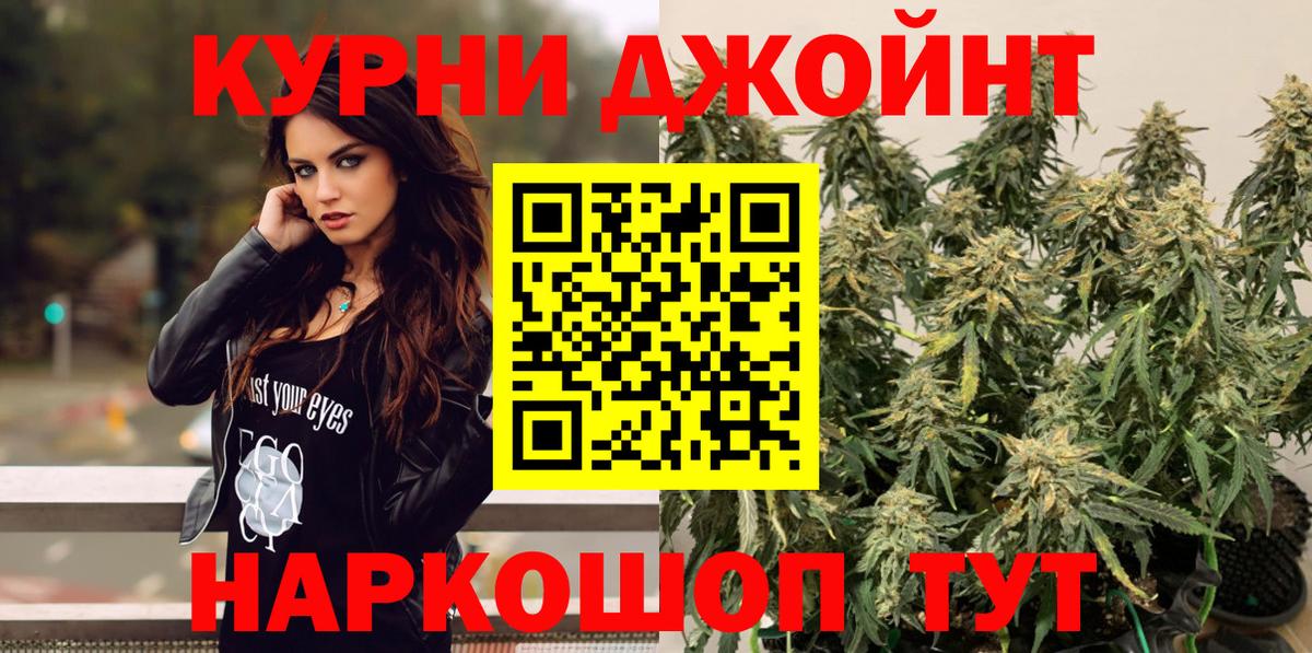 Каннабис семена  Вход с VPN  Бошки марихуана Bruce Banner  Курчалой  МАРИХУАНА White Widow 